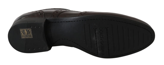 Brown Leather Broques Oxford Wingtip Shoes Dolce & Gabbana