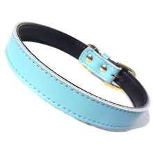 Plain Chelsea Dog Collars (4 sizes) 8-16