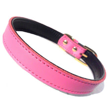 Plain Chelsea Dog Collars (4 sizes) 8-16