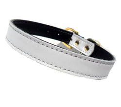 Plain Chelsea Dog Collars (4 sizes) 8-16