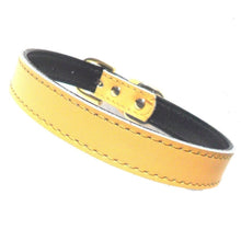 Plain Chelsea Dog Collars (4 sizes) 8-16