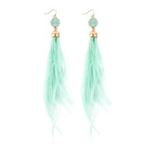Druzy Stone With Dangling Feather Earrings ( Variety Colors Available