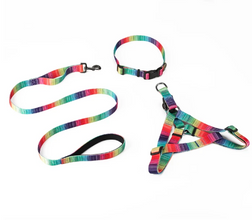 Matching Leash & collars Set