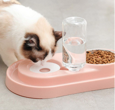 Stainless Steel Pet Bowls with Automatic Water Bottle