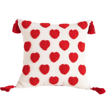 Valentines Day Throw pillow cover, 18x18 inch